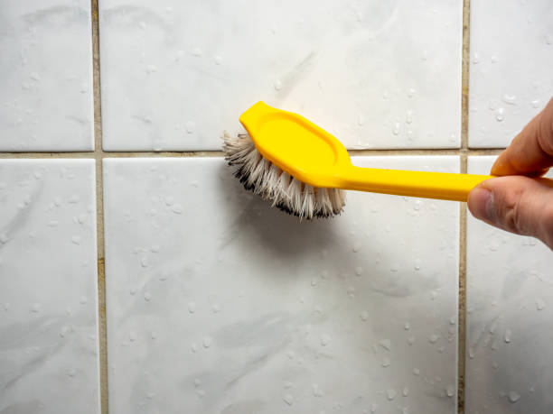 Best Commercial Mold Removal  in Lino Lakes, MN