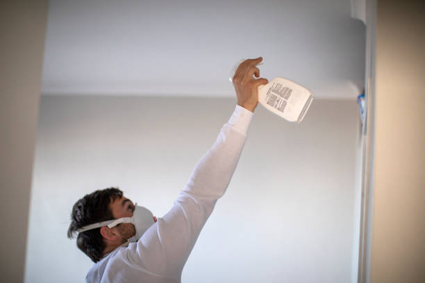 Best Certified Mold Removal  in Lino Lakes, MN